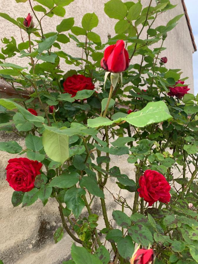 Montry F&B'S Garden 10 Min Disneyland Paris מראה חיצוני תמונה